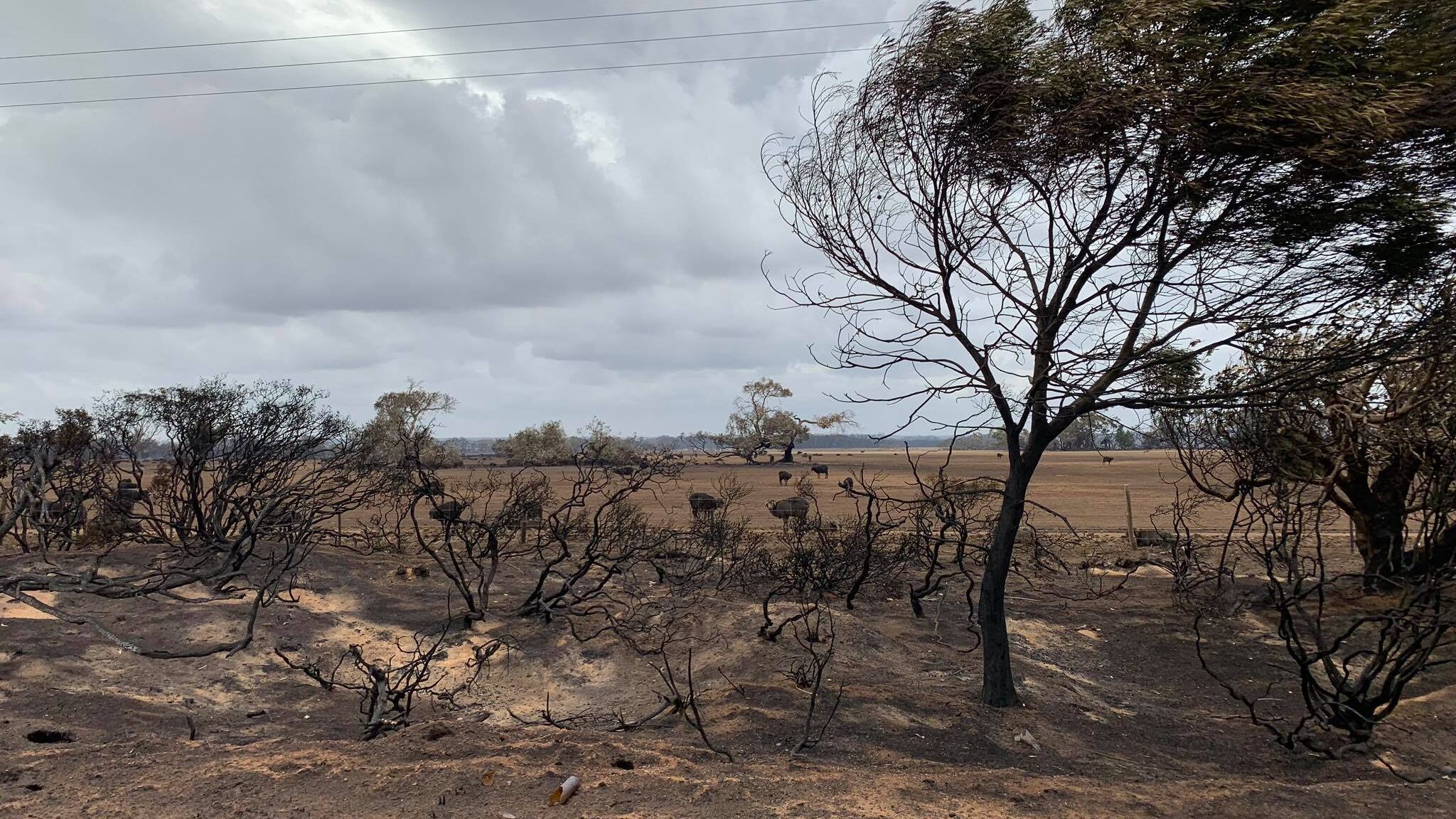 Australia bushfire